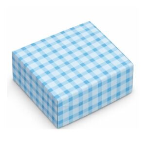 Blue Check Cake Box