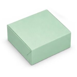 Pastel Green Cake Box